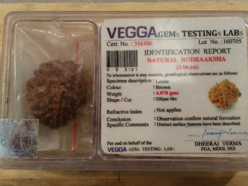 Rudraksha certificata - 2 Mukhi4, 07gr
