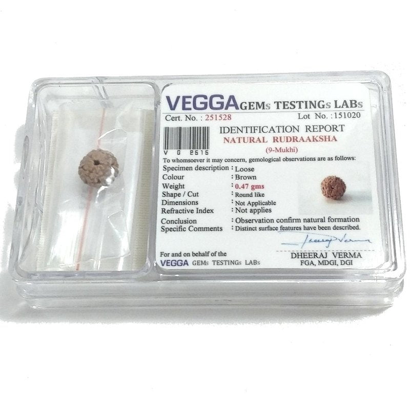 Rudraksha 9 mukhi - shiva