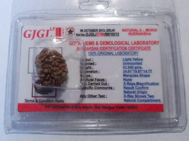 Rudraksha certificata - 2 Mukhi 2,94 gr