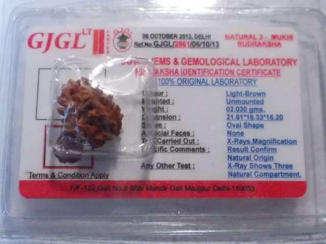 Rudraksha certificata - 3 Mukhi 2,03 gr