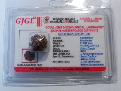 Rudraksha certificata - 4 Mukhi 1,99 gr
